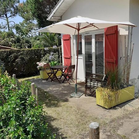 Maisonnette Proche De La Plage Tarnos Zewnętrze zdjęcie